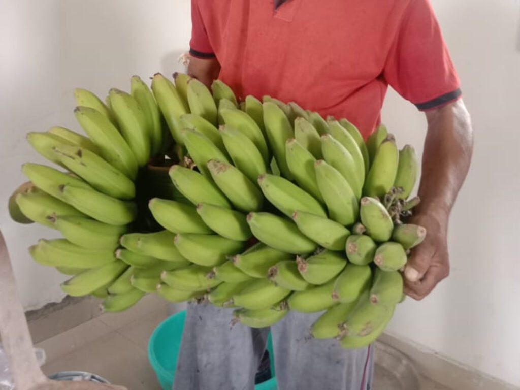 WhatsApp Image 2024-09-16 at 5.14.40 PM (1)a
