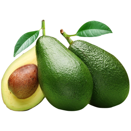 avocadoo