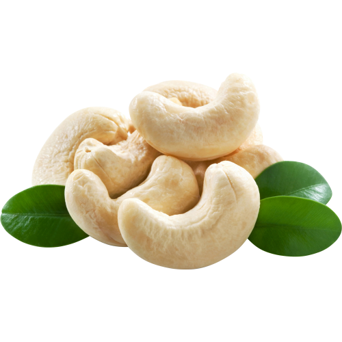 cashew