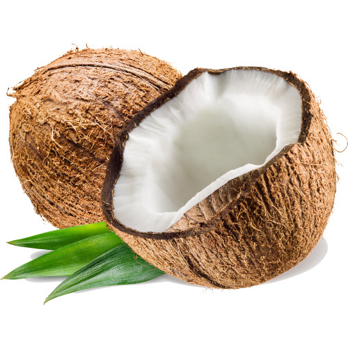 coconut