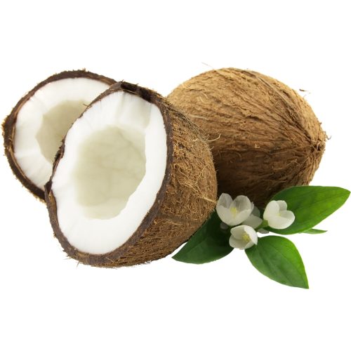 coconut2