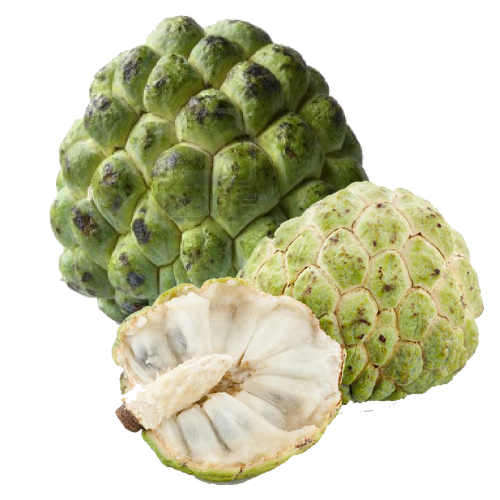 custard apple