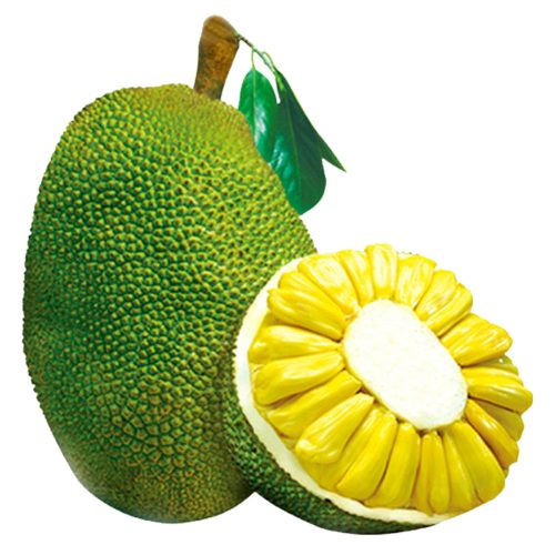 jackfruit2