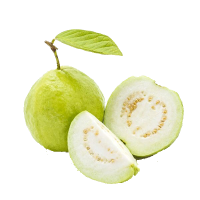 pngwing.com (37)